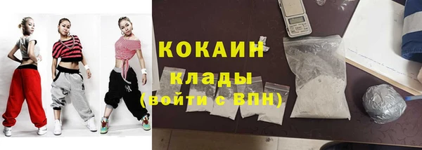 СК Волосово