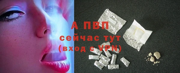 СК Волосово