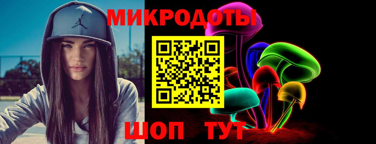 Галлюциногенные грибы Psilocybe Валуйки
